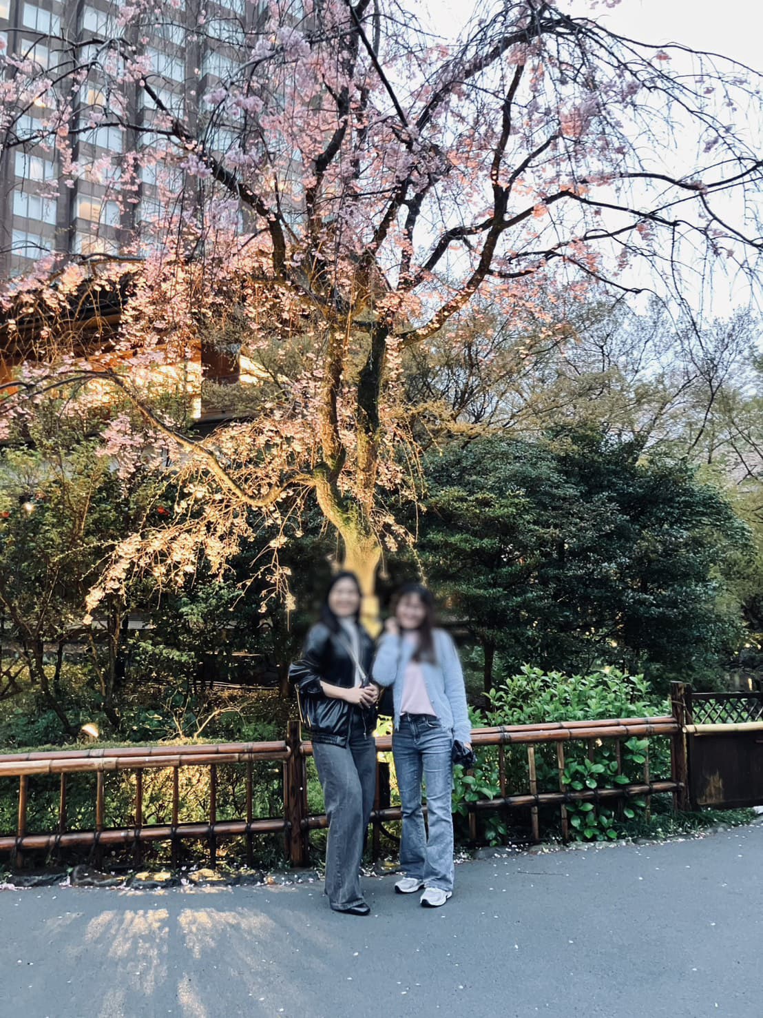 s__12263433_02.jpg
